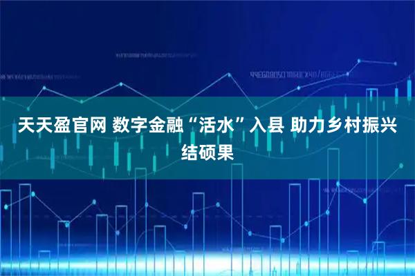 天天盈官网 数字金融“活水”入县 助力乡村振兴结硕果