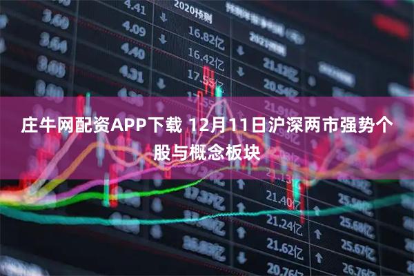 庄牛网配资APP下载 12月11日沪深两市强势个股与概念板块