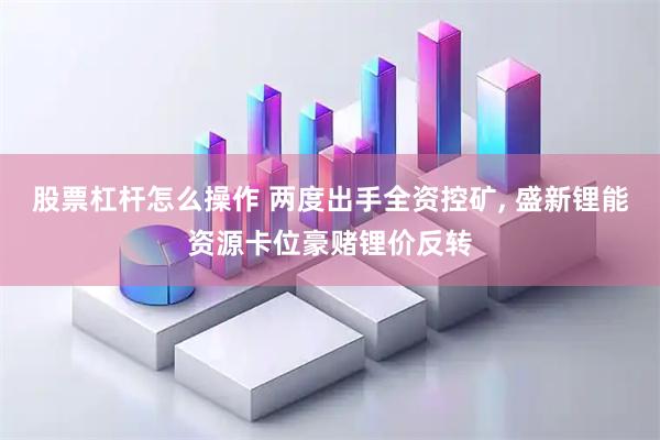 股票杠杆怎么操作 两度出手全资控矿, 盛新锂能资源卡位豪赌锂价反转